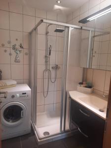 a shower in a bathroom with a washing machine at Wohnhaus City Süd in Herzogsdorf