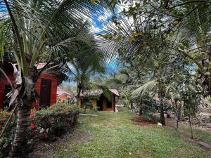 a house with a palm tree in front of a yard at Casa vacacional Brisas del Mar in San Juanillo