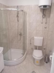 a bathroom with a shower and a toilet and a sink at Sphinx Apartment in Visoko +7 photos