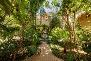 Zahrada ubytování Riad Dar El Malaika