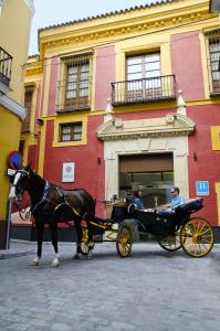 Hostia v ubytovaní Palacio Pinello