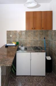 a kitchen with a sink and a counter at Apartments with a swimming pool Soline, Dubrovnik - 4762 in Mlini