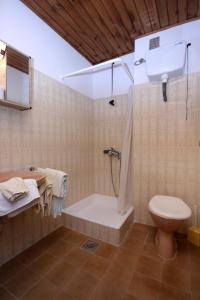 La salle de bains est pourvue d'une douche, de toilettes et d'un lavabo. dans l'établissement Apartments and rooms with a swimming pool Cavtat, Dubrovnik - 4733, à Cavtat