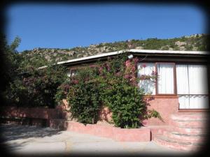 Gallery image of Hotel Turismo Rurale Montitundu in Marina di Portisco +20 photos
