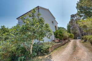 Zahrada ubytování Double Room Mali Losinj 3445h