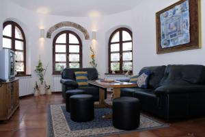 - un salon avec des canapés et une table dans l'établissement Luxury villa with a swimming pool Belavici, Marcana - 3028, à Barban