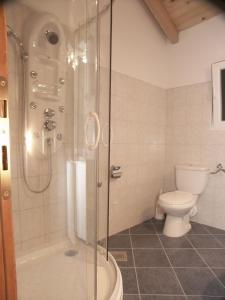 ein Bad mit einer Dusche und einem WC in der Unterkunft Apartments by the sea Milna, Vis - 3036 in Vis
