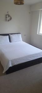 Photo de la galerie de l'établissement Pliska apartment, à Montana