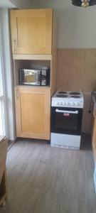 a kitchen with a stove and a microwave at Pliska apartment in Montana