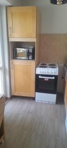 Η κουζίνα ή μικρή κουζίνα στο Pliska apartment