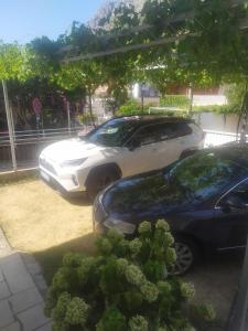 Fotografie z fotogalerie ubytování Apartment Podaca 2783c v destinaci Podaca