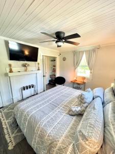 a bedroom with a bed and a ceiling fan at Giggling Creek Cottage - BedJet! King Sized! Gazebo, 45 Acres, Arcades, Nintendo, more in Henry