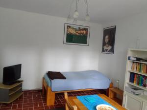 een kleine kamer met een bed en een televisie bij Ländliche 1-Raumwohnung im Park in Thulendorf