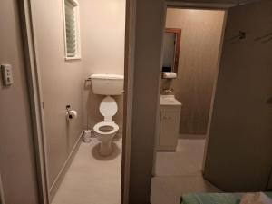 ein Bad mit einem WC und einem Waschbecken in der Unterkunft Whitehorse Inn in Palmerston North