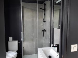 a bathroom with a shower and a sink and a toilet at La Pomme d'Or in La Charité-sur-Loire +52 photos
