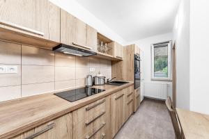 O bucătărie sau chicinetă la Jeseníky Apartmán číslo 5