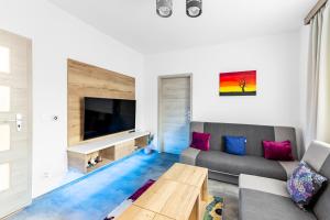 TV a/nebo společenská místnost v ubytování Jeseníky Apartmán číslo 5