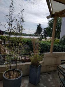 zwei große Töpfe mit Pflanzen auf einer Terrasse in der Unterkunft La maison du Bord de Loire in Ancenis