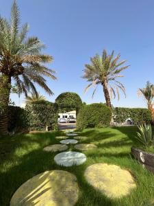 un jardín con rocas en el césped con palmeras en اجنحة مجمع القوافل الفندقيه en Tabuk