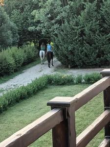 Imagem da galeria de Guest House La Carolina em Tigliole