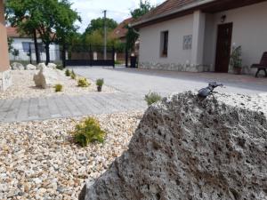 Fotografia z galérie ubytovania Szilvaliget Vendégház v destinácii Tolcsva