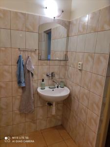 a bathroom with a sink and a mirror at Samostatný rodinný dom in Veľký Meder