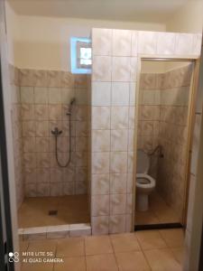 a bathroom with a shower with a toilet in it at Samostatný rodinný dom in Veľký Meder