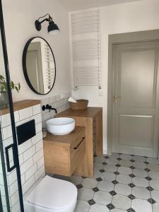 La salle de bains est pourvue de toilettes, d'un lavabo et d'un miroir. dans l'établissement Nice to sleep You, à Toruń