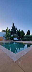 Camarles的住宿－L'Hortet del iaio，庭院中间的游泳池