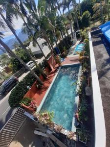 - une vue sur la piscine bordée de palmiers dans l'établissement Couleurs des îles, à Le Tampon