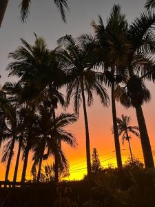 a group of palm trees in front of a sunset at Couleurs des îles in Le Tampon
