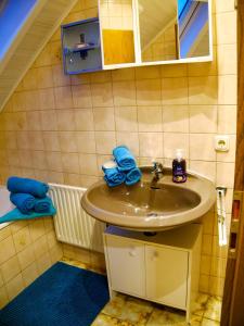 een badkamer met een wastafel en een spiegel bij Ferienwohnung Schlossblick Schillingsfürst in Diebach