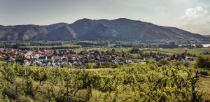 a village in a valley with mountains in the background at Wachau Supperer in Rossatz