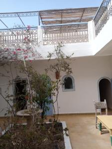 a room with a table and a plant in it at RIAD ACACIA in Essaouira