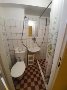 a small bathroom with a toilet and a sink at Apartmány Viola in Štúrovo