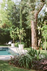 einen Garten mit einem Pool und einem Baum in der Unterkunft Hotel Piccola Vela in Desenzano del Garda