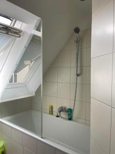 y baño con ducha y lavamanos. en Rooftop Room 2 en Viena