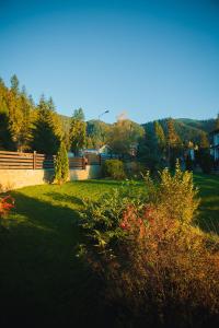 a green yard with a fence and trees in the background at Denisa Boutique in Poiana Brasov