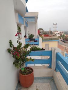 a blue and white stairway with a potted plant at Villa Moulay bousselham in Moulay Bousselham