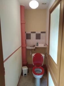 uma casa de banho com um WC vermelho e um lavatório. em Appart du 119 em Sainte-Croix-aux-Mines