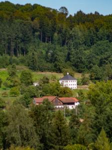 une grande maison blanche au milieu d'une forêt dans l'établissement Trattnachtaler Weinhaus, 