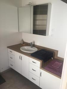 a bathroom with a sink and a mirror at Petite maison de campagne in Recey-sur-Ource