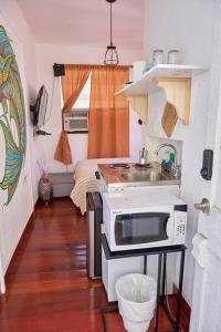 a small kitchen with a sink and a microwave at Migue´s Tiny Miami Alcove in Miami