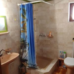 a bathroom with a shower with a blue shower curtain at István Apartman in Tiszafüred
