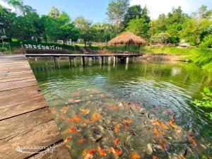 Norn Nab Dao RimPhu Resort في تشيانغ خان: بركة فيها مجموعة من الطائرات الورقية في الماء