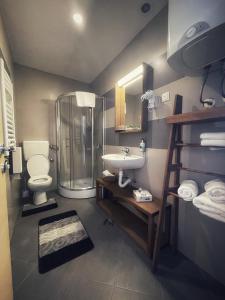 ein Bad mit einer Dusche, einem WC und einem Waschbecken in der Unterkunft Falling Star Apartman Brzece in Brzeće