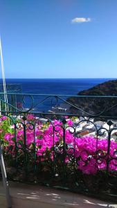 a bunch of pink flowers on a balcony at Iro Hotel in Agia Galini