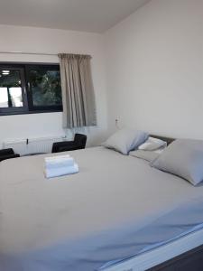 a large white bed in a room with a window at Résidence la floraison in Brussels