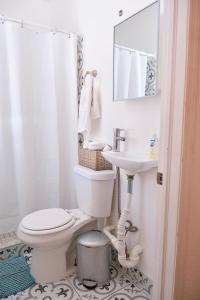 a bathroom with a toilet and a sink at Migue´s Tiny Miami Alcove in Miami