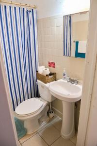 łazienka z toaletą i umywalką w obiekcie The Marlin Rooster Apartments w Miami